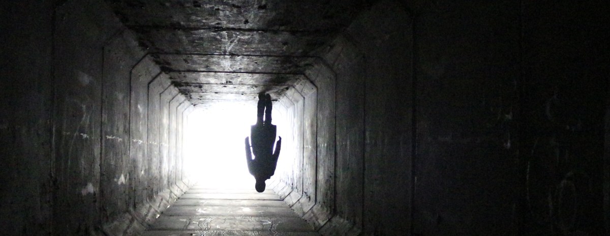 El asesino silencioso